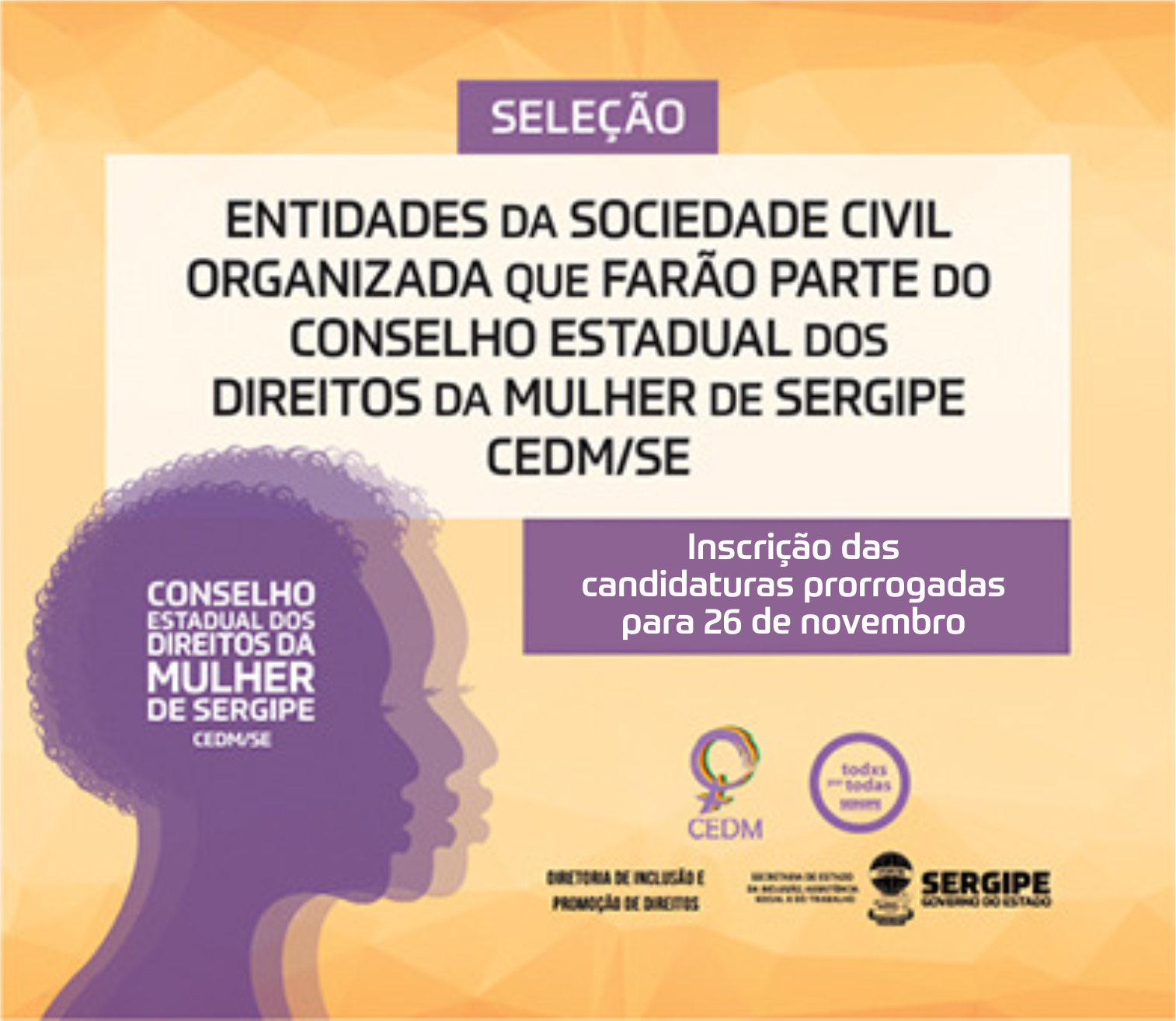Conselho Estadual dos Direitos da Mulher prorroga inscrições para representantes da sociedade civil