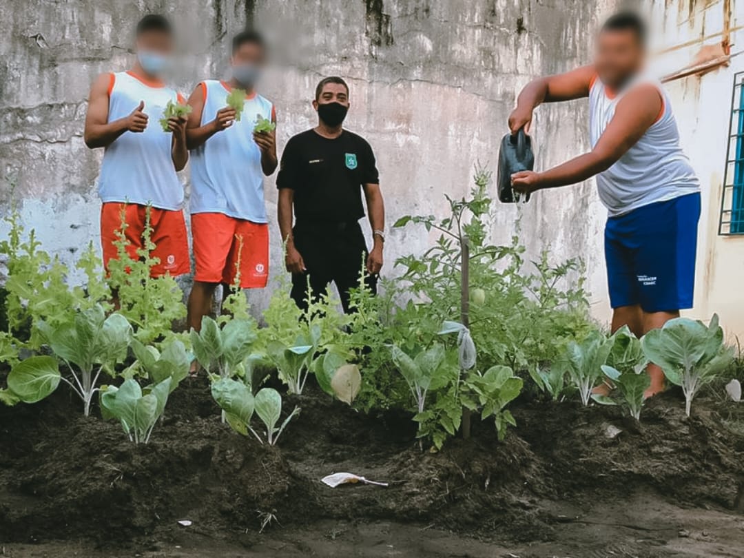 Fundação Renascer fecha parceria com IFS para projeto agroecológico com adolescentes em semiliberdade