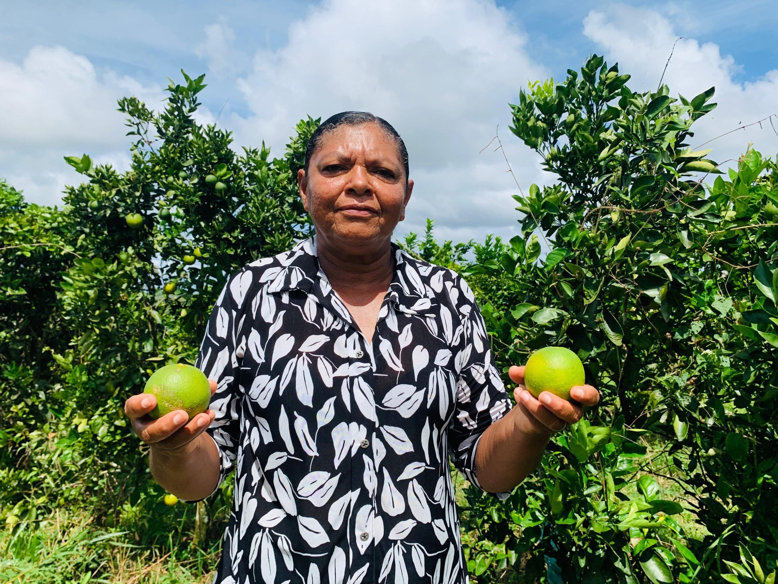 Entrega de 14 toneladas de produtos do Programa de Aquisição de Alimentos transforma vida de agricultores familiares em Cristinápolis