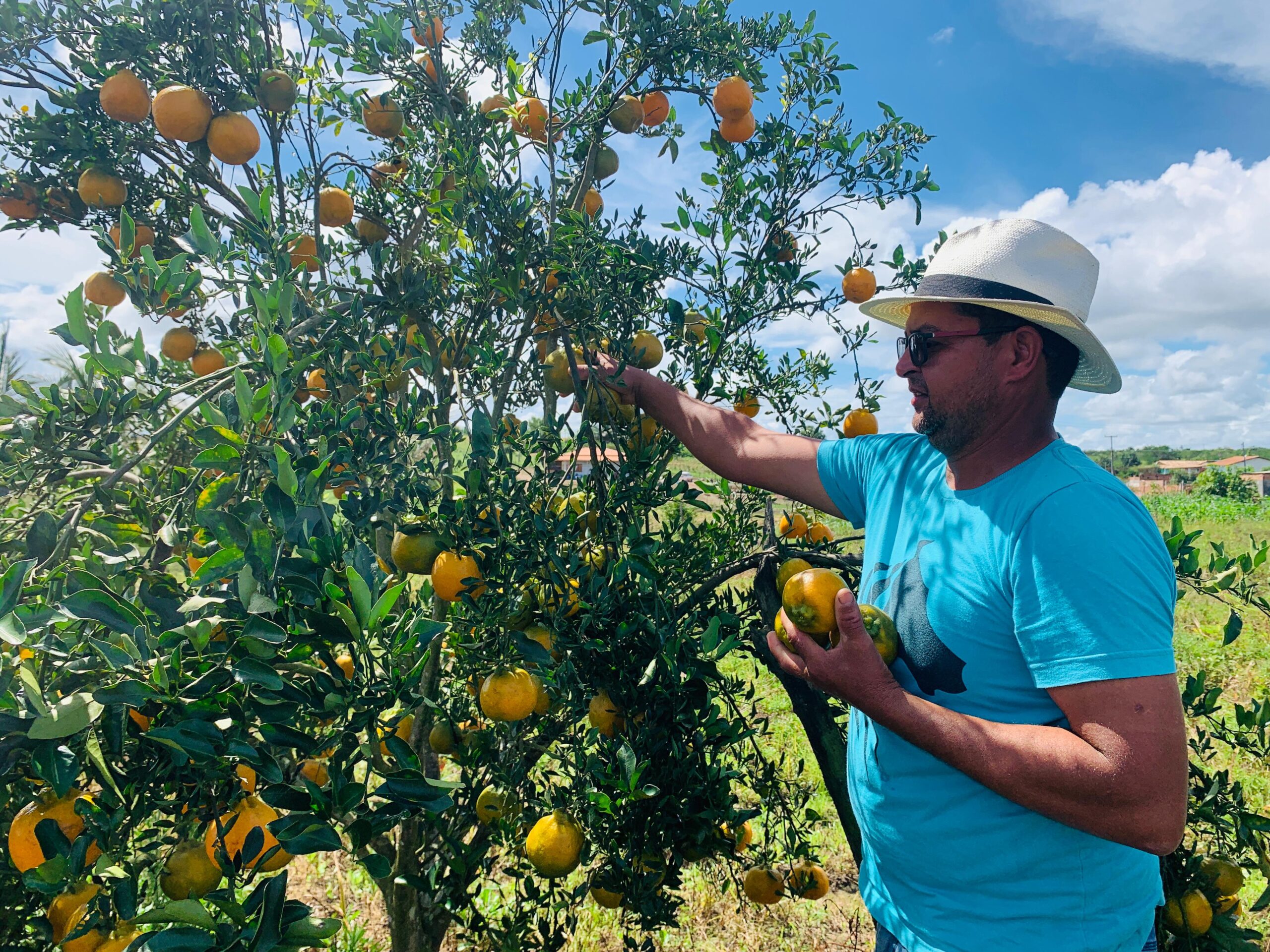 Inscrições para o Programa Mão Amiga Laranja são prorrogadas até o dia 31 de agosto