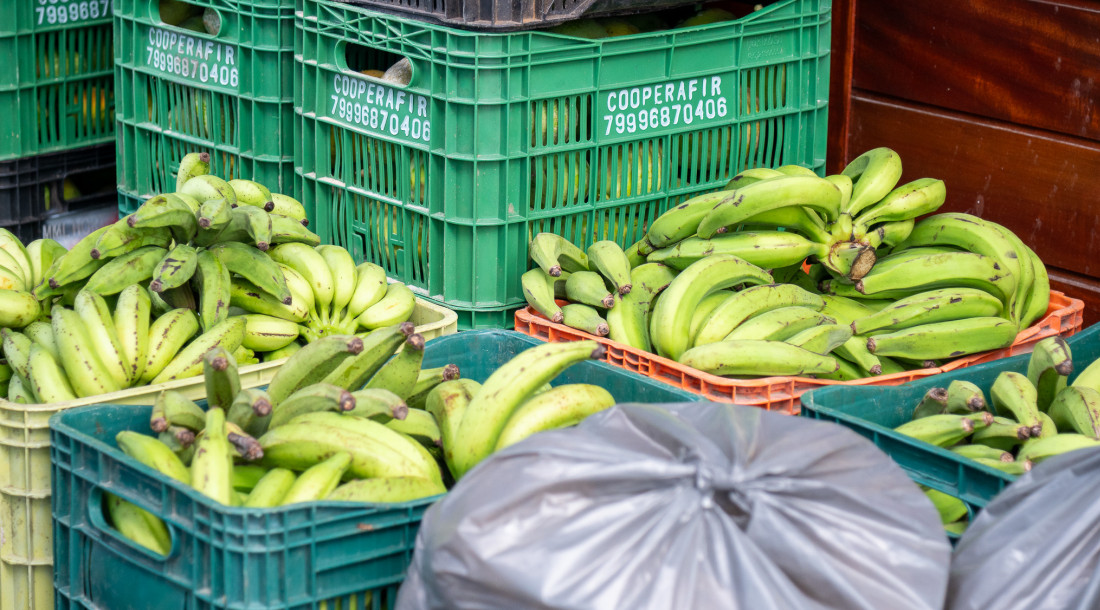 PAA Estadual realiza entrega de cerca de 7 toneladas de alimentos no bairro Lamarão em Aracaju