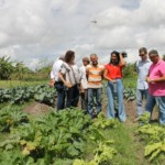 Foto: Fernando Augusto