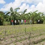 Foto: Fernando Augusto