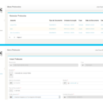 Além da mensagem de confirmação, o usuário pode checar o envio em MEUS PROTOLOCOS, clicando no protocolo enviado à inscrição do PAA na Seias