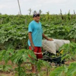 Foto: Gabriel Freitas