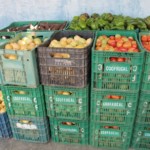 Foto: Fernando Augusto